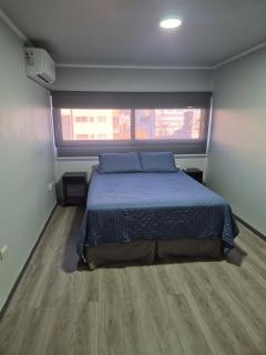 Apartamento 3D 2B duplex a pasos Costanera Center y MUT - 4