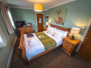 Jabajak Vineyard with Rooms - Llanboidy - 4