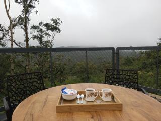 The Fortunara Crown Munnar - 8