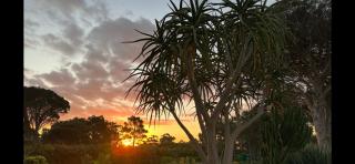 The Cottage - a tranquil hideaway - Somerset West - 6