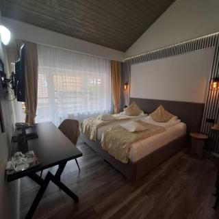 Pensiunea Warthe Bed & Breakfast - 9