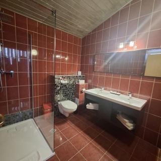 Pensiunea Warthe Bed & Breakfast - 4