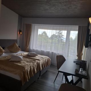 Pensiunea Warthe Bed & Breakfast - 3
