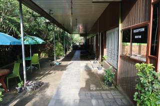 The new maha raja homestay munnar - 5