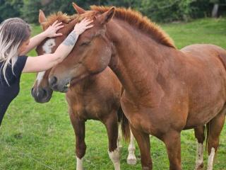 Hôtel de la Couronne - 1