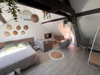 Studio moderne Plein Centre Nemours - 9