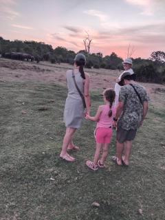 Ethili Lake view & Safari Camp - 4