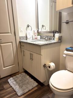 LUX Apt 2 Min to TCU Pool & Gym! - 3