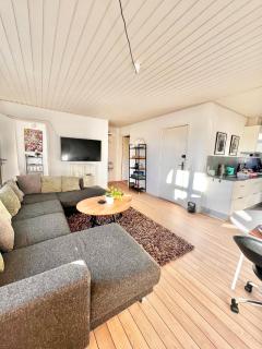No3 VB Apartment - Vejle - 8