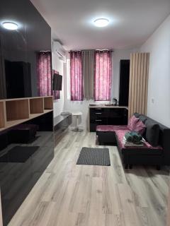 Cozy black 1 bedroom apartment - 0