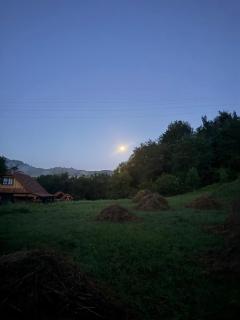 Petrashiv Cottage Behind the River - 1