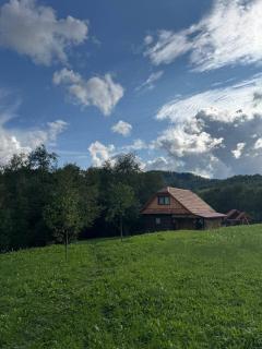 Petrashiv Cottage Behind the River - 2