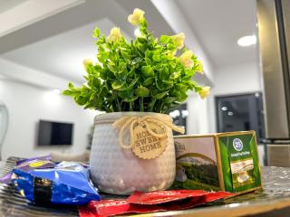 Azalea Homes - Winchester gardens - 6