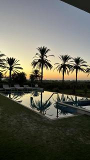 Dar Jamila - Au coeur de l'Oasis - - 6