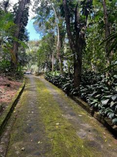 Sitio do Caboclo - 4