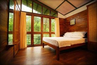 Solitude Munnar - Tree house - 6