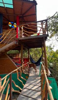 Mariri Jungle Lodge - 8