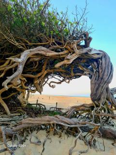 Brisa do Preá- 700m da praia do Preá -12km de Jeri - 5