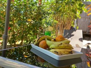 Villa Sylkomba 1 - Nosy Komba - 4
