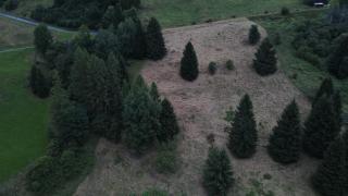Villa Tersilla - 6