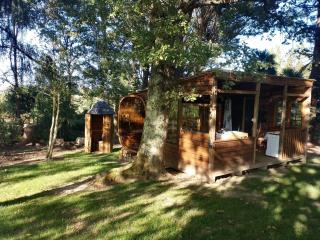 Le chalet de Montestrucq - 3