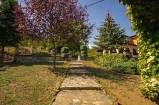 Villa Tethys Mountain Resort - 3