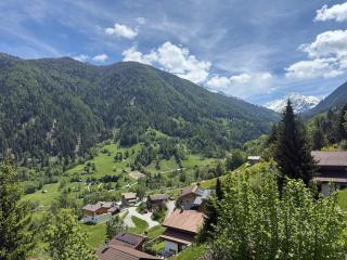 Chalet Opalpin Lodge & Spa, vue montagne et jacuzzi - 3