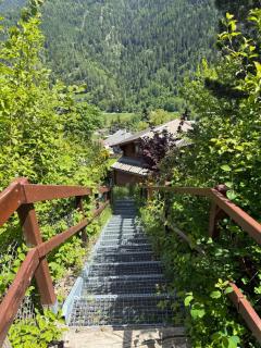 Chalet Opalpin Lodge & Spa, vue montagne et jacuzzi - 3