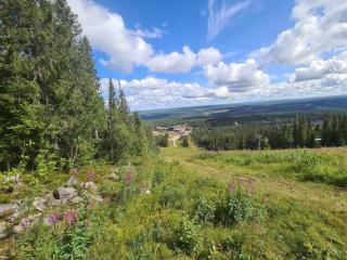 7 person holiday home in Sälen - 1