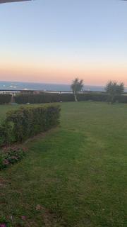 The view - 7