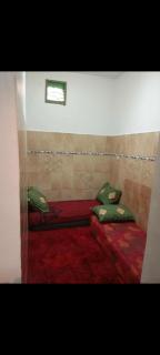 Studio drarga - 5