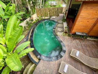 Eco Tini Villas Rice Fields and Jungle View - 9