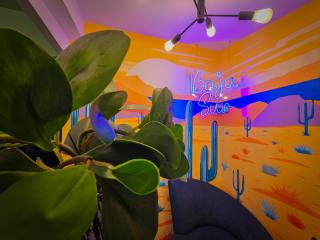 Casa Arbol - La Paz - 9