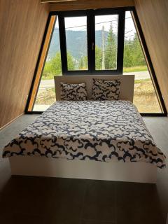 A Frame house Slavuljica - 0