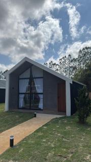 Mandacaru Encantado - 5