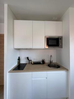 Studio moderne avec terrasse proche de Lyon - 1