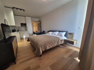 Holesovice Luxury Apartments Free Parking - Prag - 9