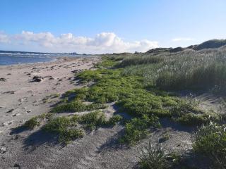 4 star holiday home in Læsø - 3