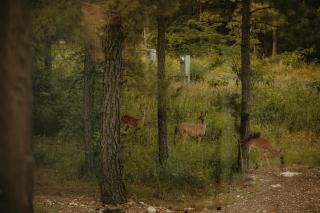 Sunrise & Serenity - 5