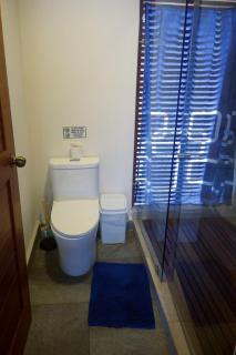 Casas de los Abuelos Beachfront house, Troncones - 5