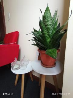 Quarto individual 02 - 0