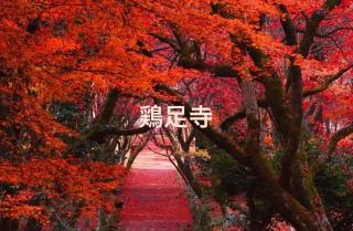 YURURIBASE 凛 in Nagahama contactless checkin - 9