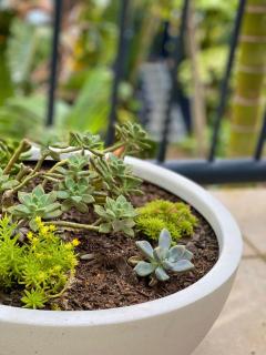 Art Deco Hidden Treasure - 9