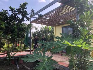 Pomelo Garden - 1