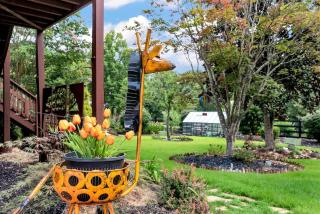 Peace of Joy Acres - 5