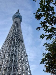 Terrace Tokyo Skytree - 8