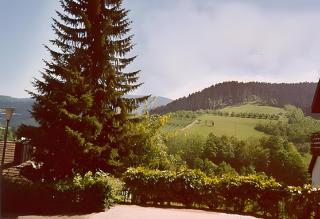 Ferienwohnung Matteit - 4