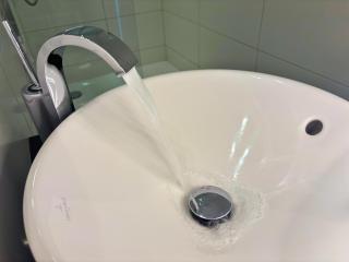 Bären Oberbipp - Oberbipp - 1
