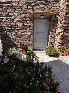 Tzia Blue - 4