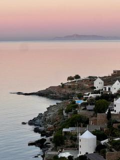Tzia Blue - 1